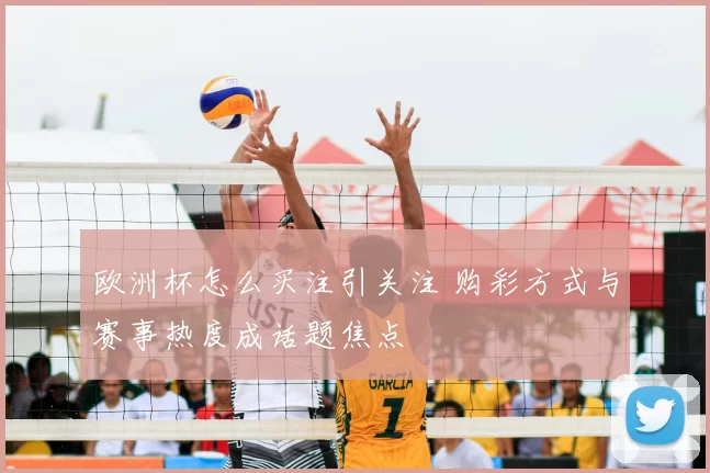 欧洲杯怎么买注引关注 购彩方式与赛事热度成话题焦点