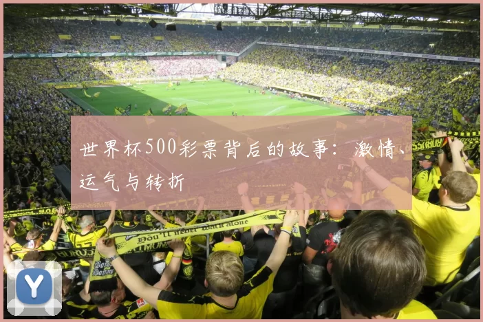 世界杯500彩票背后的故事:激情、运气与转折