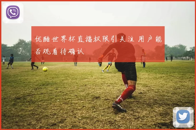 优酷世界杯直播权限引关注 用户能否观看待确认